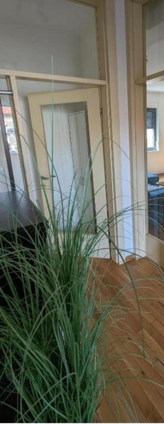 Downtown Fiume, Underground Garage Within The Property Extérieur photo
